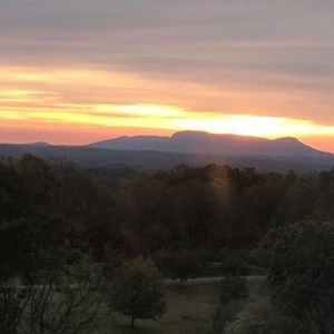 Meet your Posher, Marisol